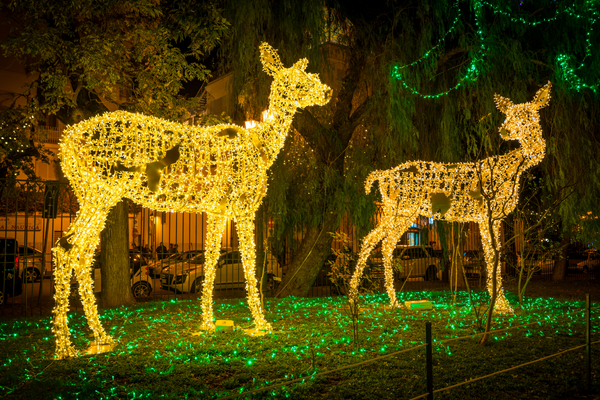 luminarie luci d’artista salerno villaggi di natale